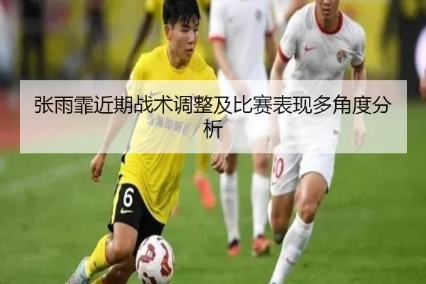 张雨霏近期战术调整及比赛表现多角度分析