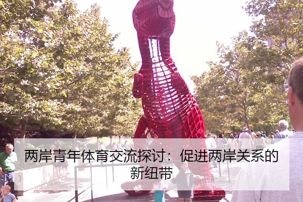 两岸青年体育交流探讨：促进两岸关系的新纽带